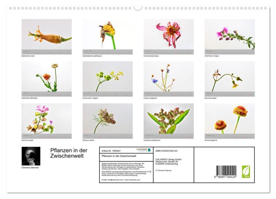 additionalImage4