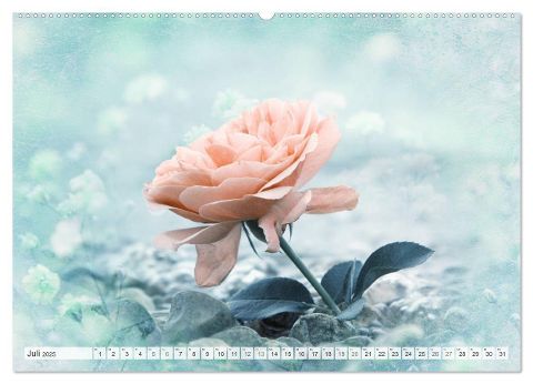 additionalImage11