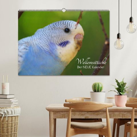additionalImage1