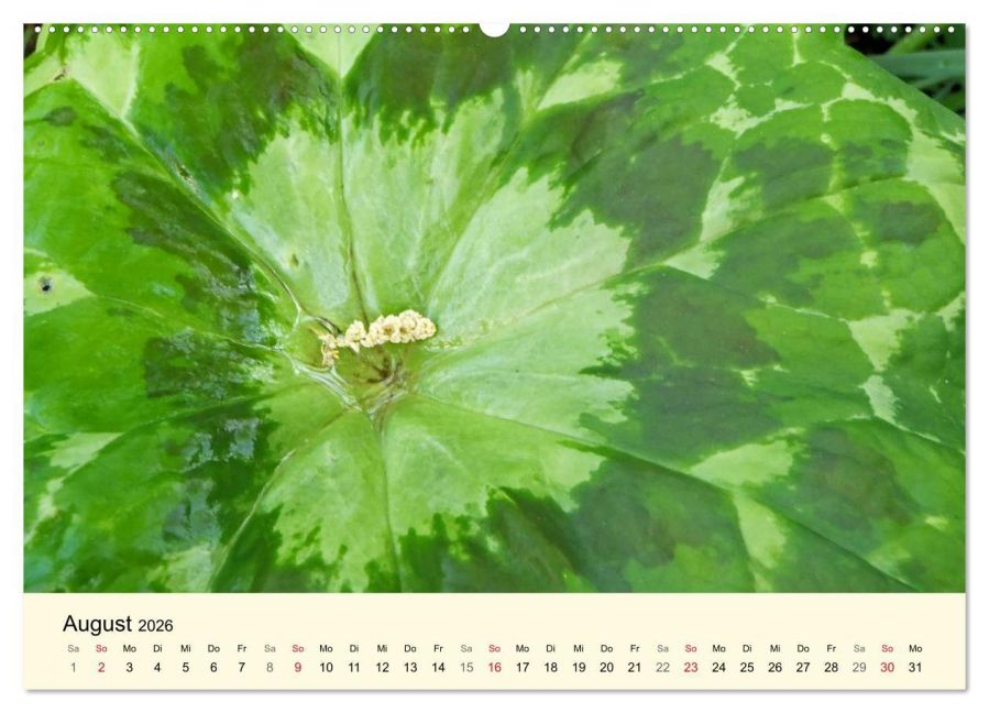 additionalImage12
