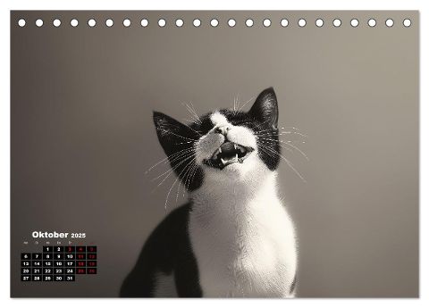 additionalImage2