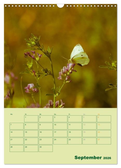 additionalImage14
