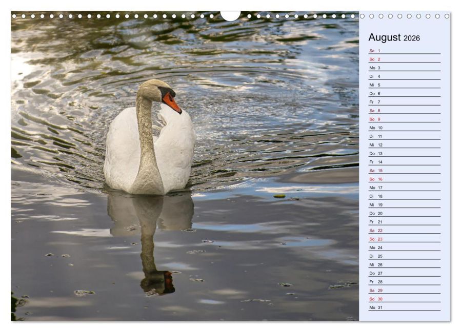 additionalImage13