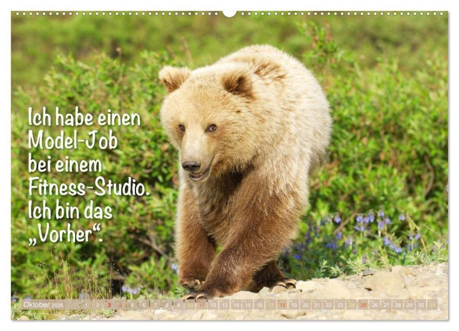 additionalImage1