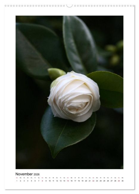 additionalImage3