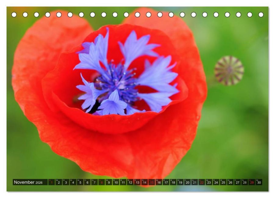 additionalImage3