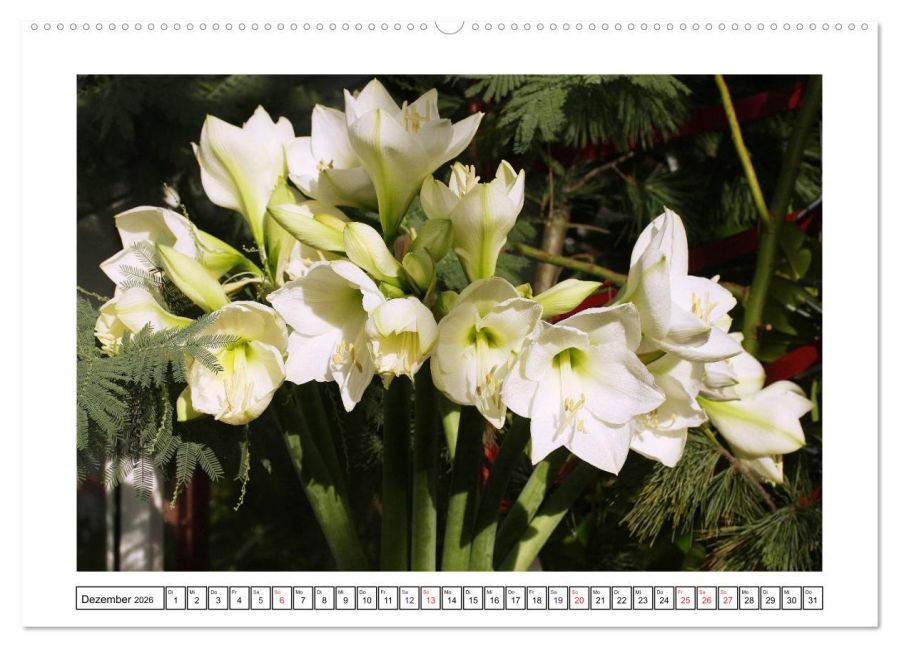 additionalImage4