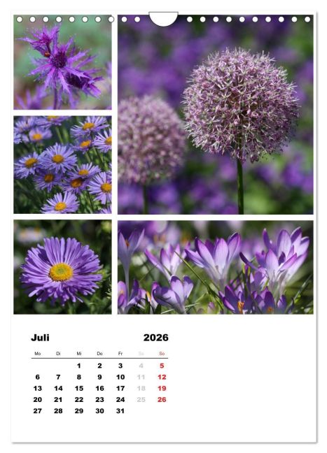additionalImage12