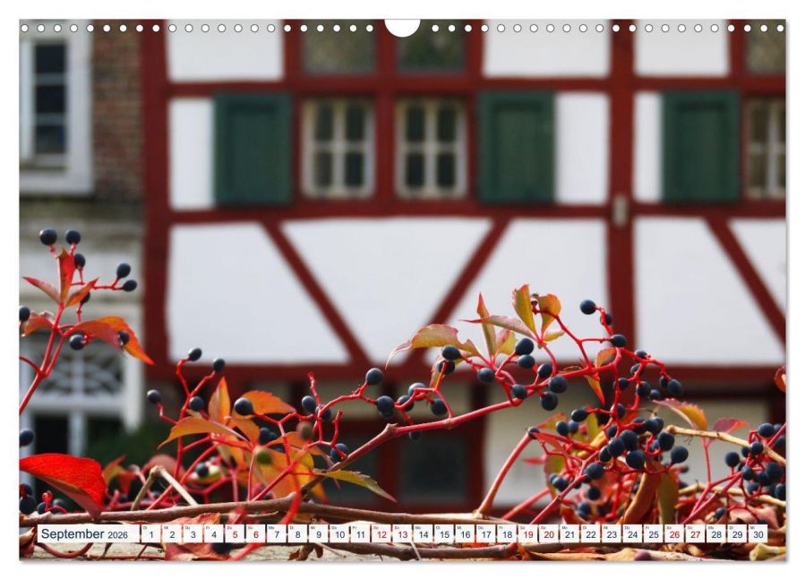 additionalImage14