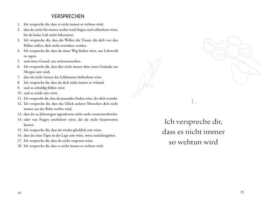 additionalImage1