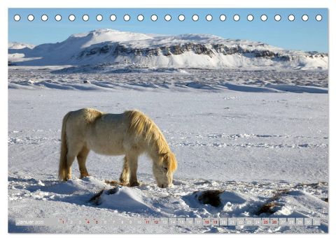 additionalImage6