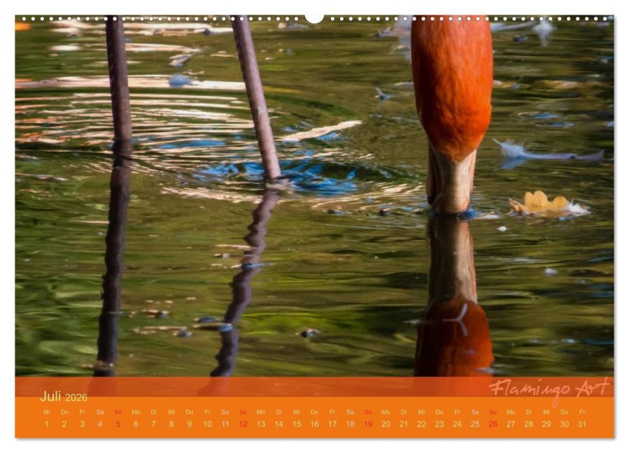 additionalImage12