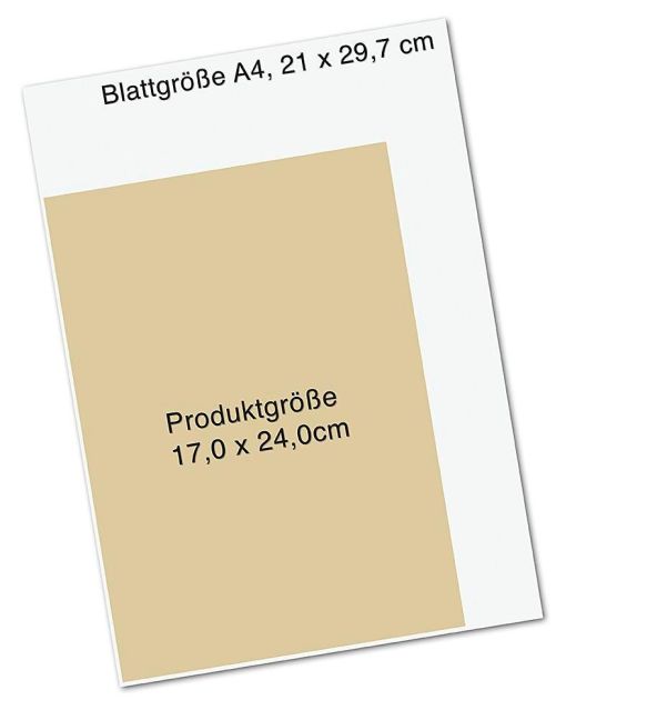 additionalImage8
