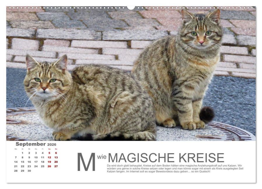 additionalImage13