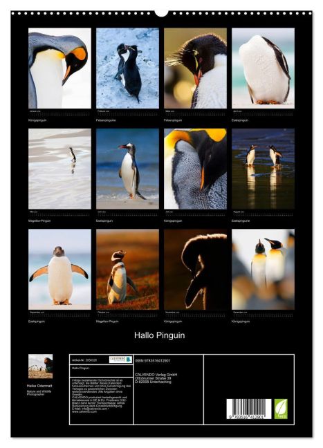 additionalImage4