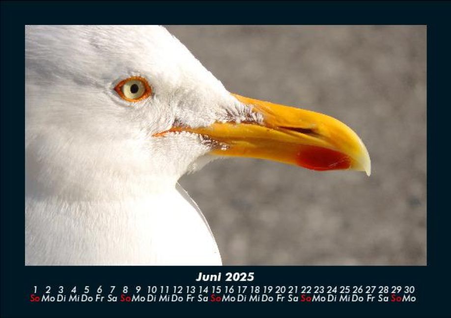additionalImage10