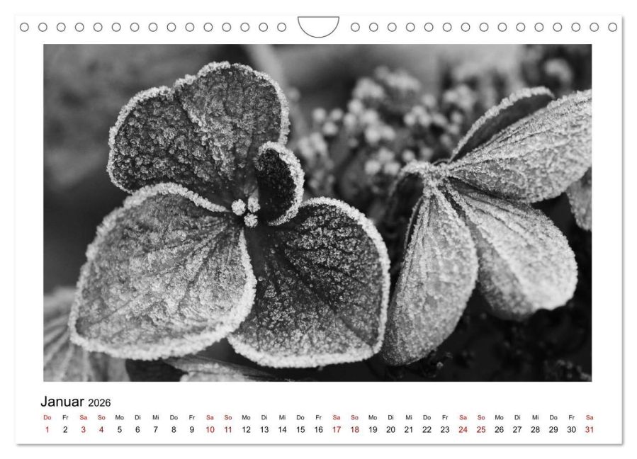 additionalImage6