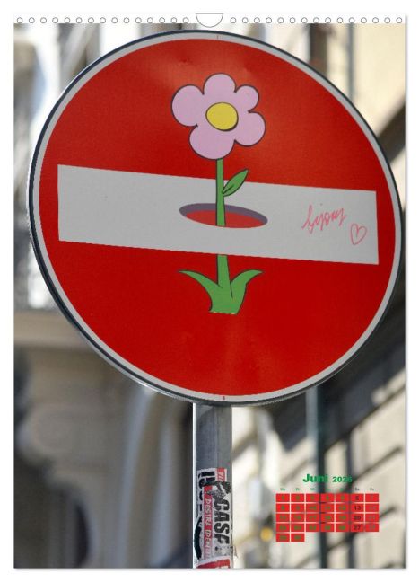 additionalImage11
