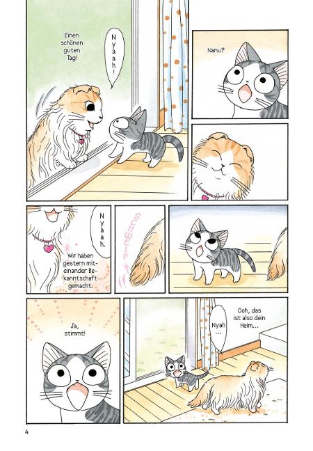 additionalImage4