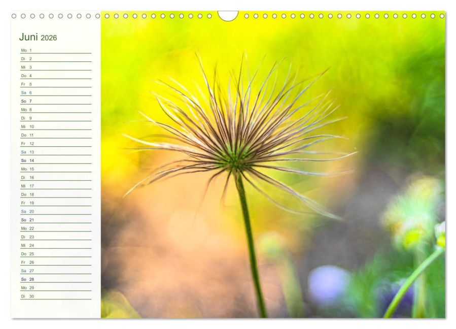 additionalImage11