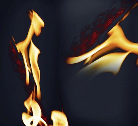 additionalImage1