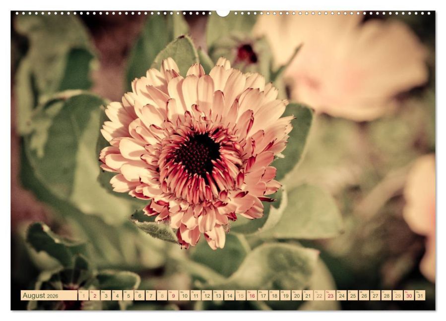 additionalImage13