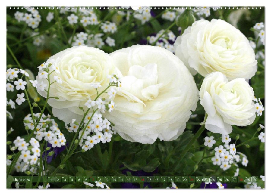 additionalImage11