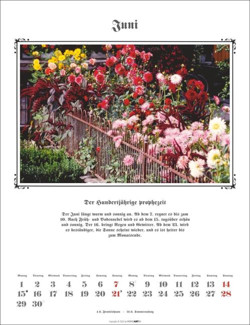 additionalImage6