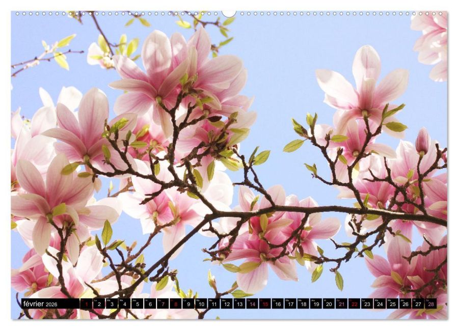 additionalImage6
