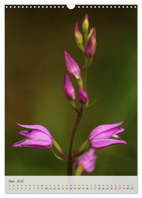 additionalImage8