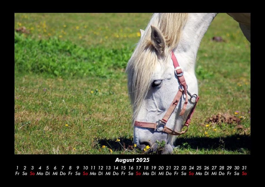 additionalImage12