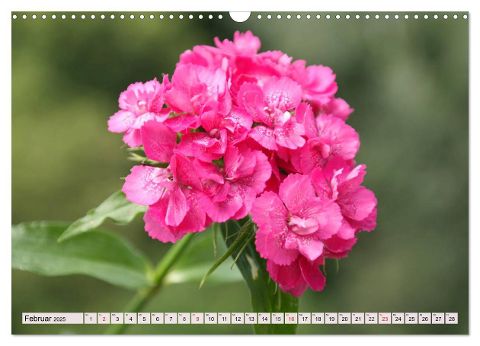additionalImage7