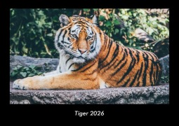 Cover-Bild zum Titel 'Tiger 2026 Fotokalender DIN A3' von 'Tobias Becker'