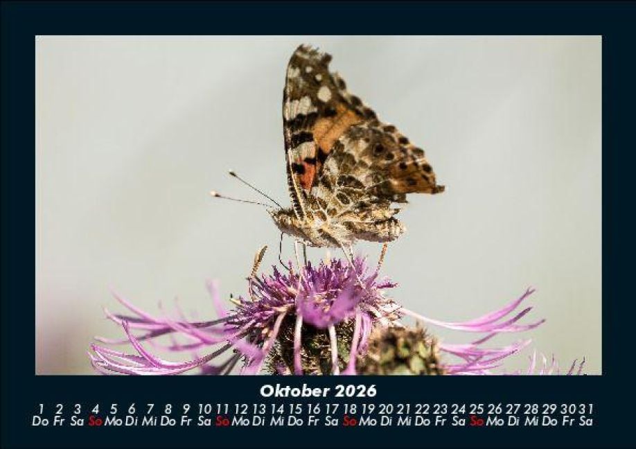 additionalImage2