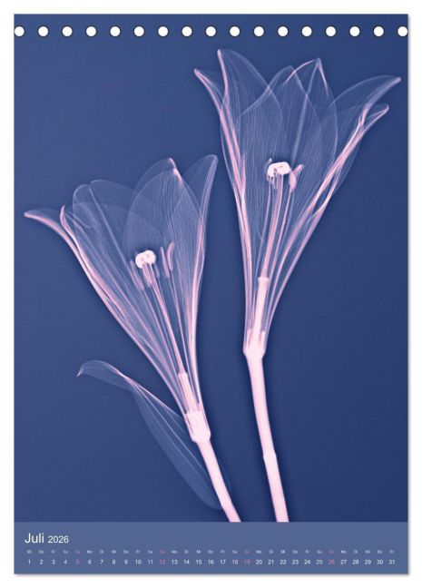 additionalImage12
