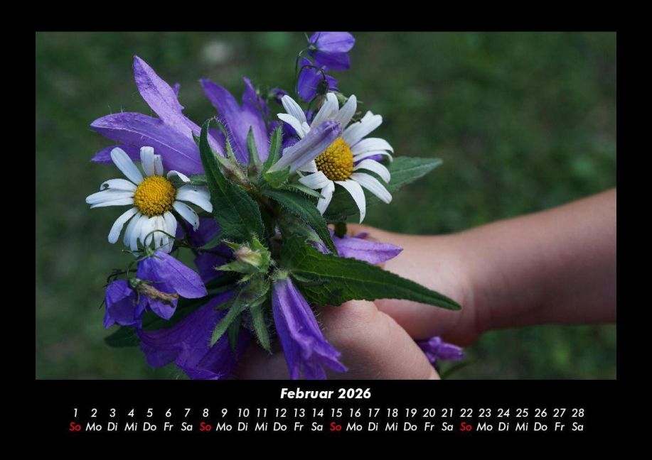additionalImage6