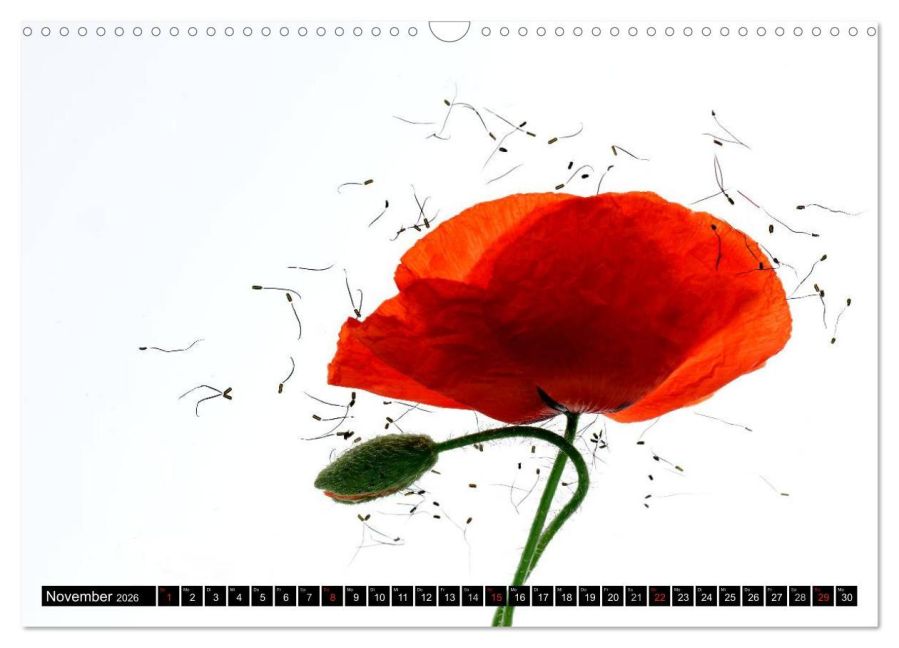 additionalImage3