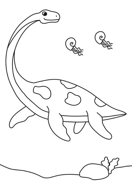 additionalImage5