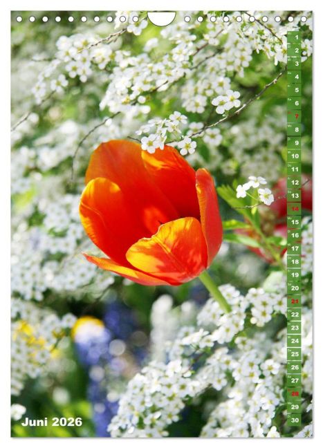 additionalImage11