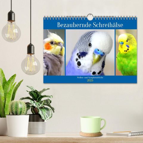 additionalImage1