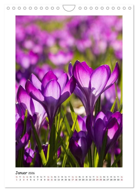 additionalImage6