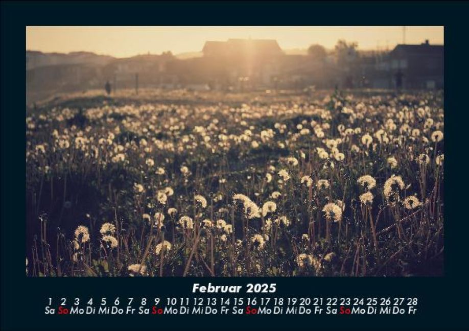 additionalImage6