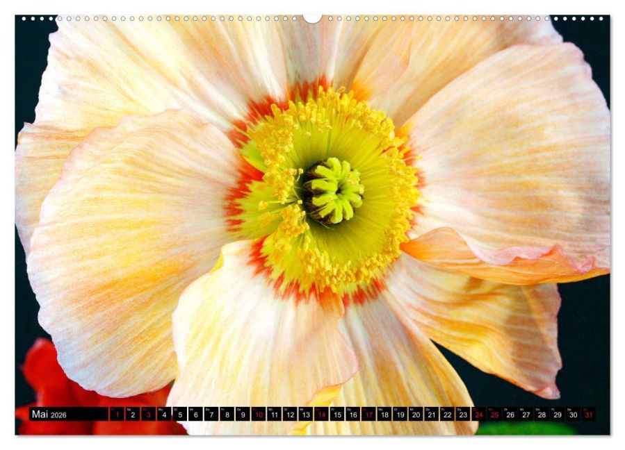 additionalImage9