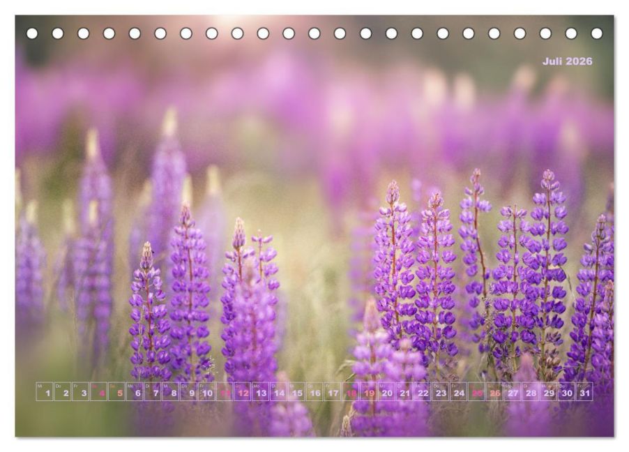 additionalImage12