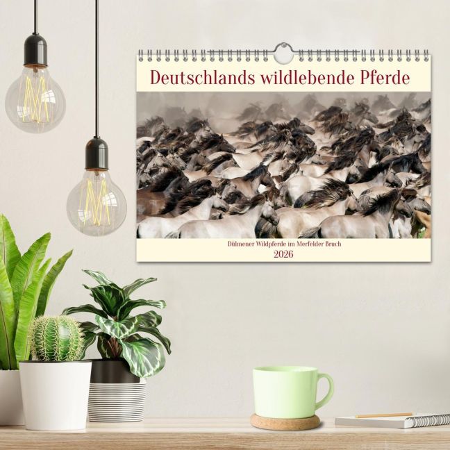 additionalImage1