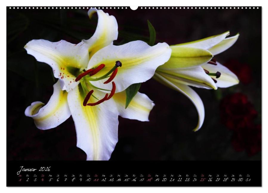 additionalImage6
