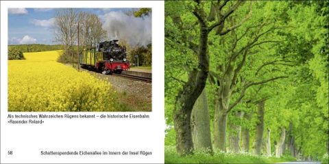 additionalImage5