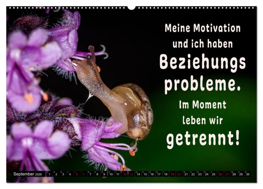 additionalImage14