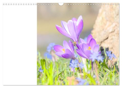 additionalImage6