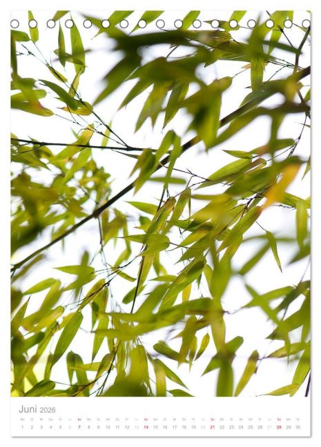 additionalImage11